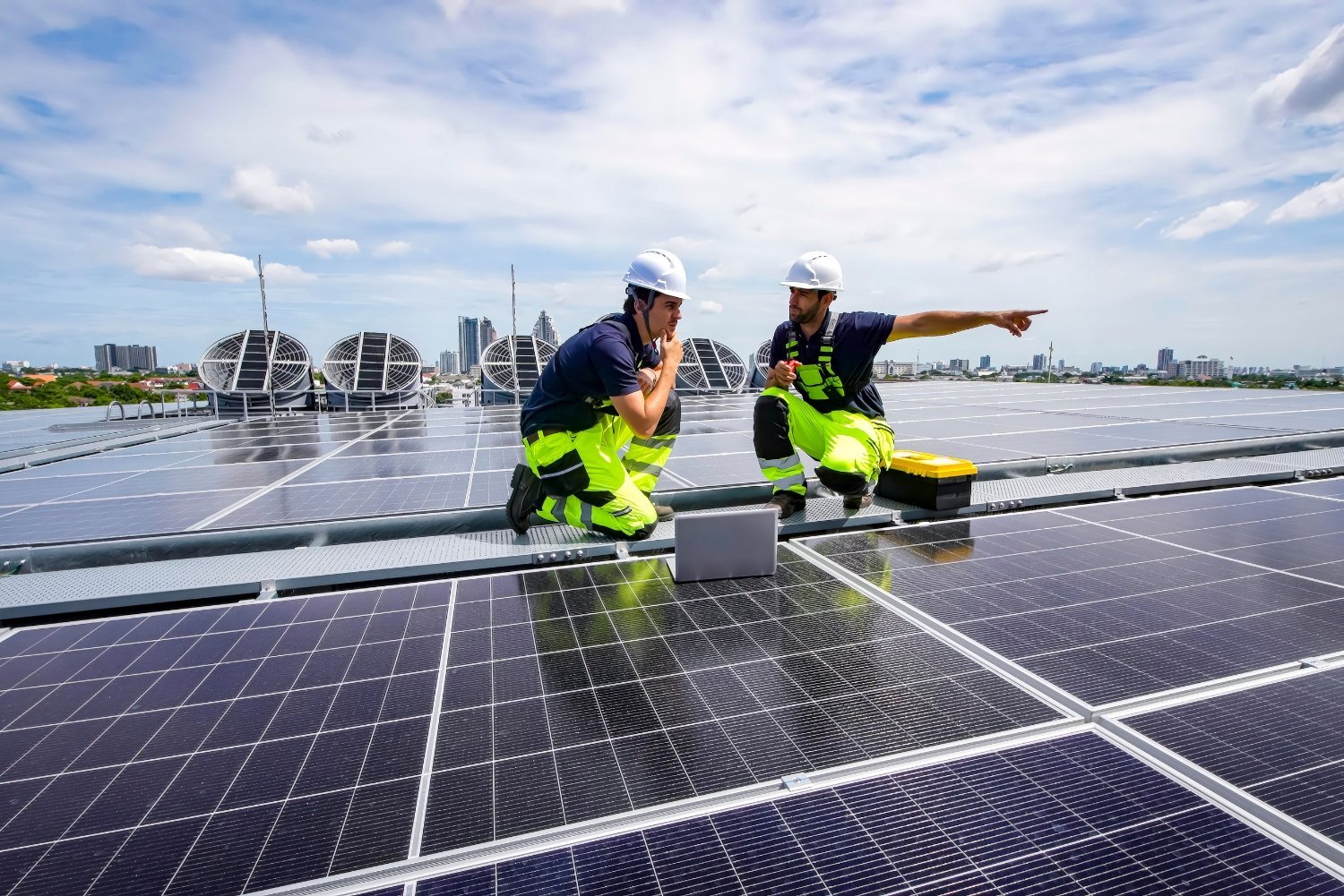 When Squirrels Attack Protecting Your Solar Cables & Roof from Rodent Damage – Solutions & Repairs